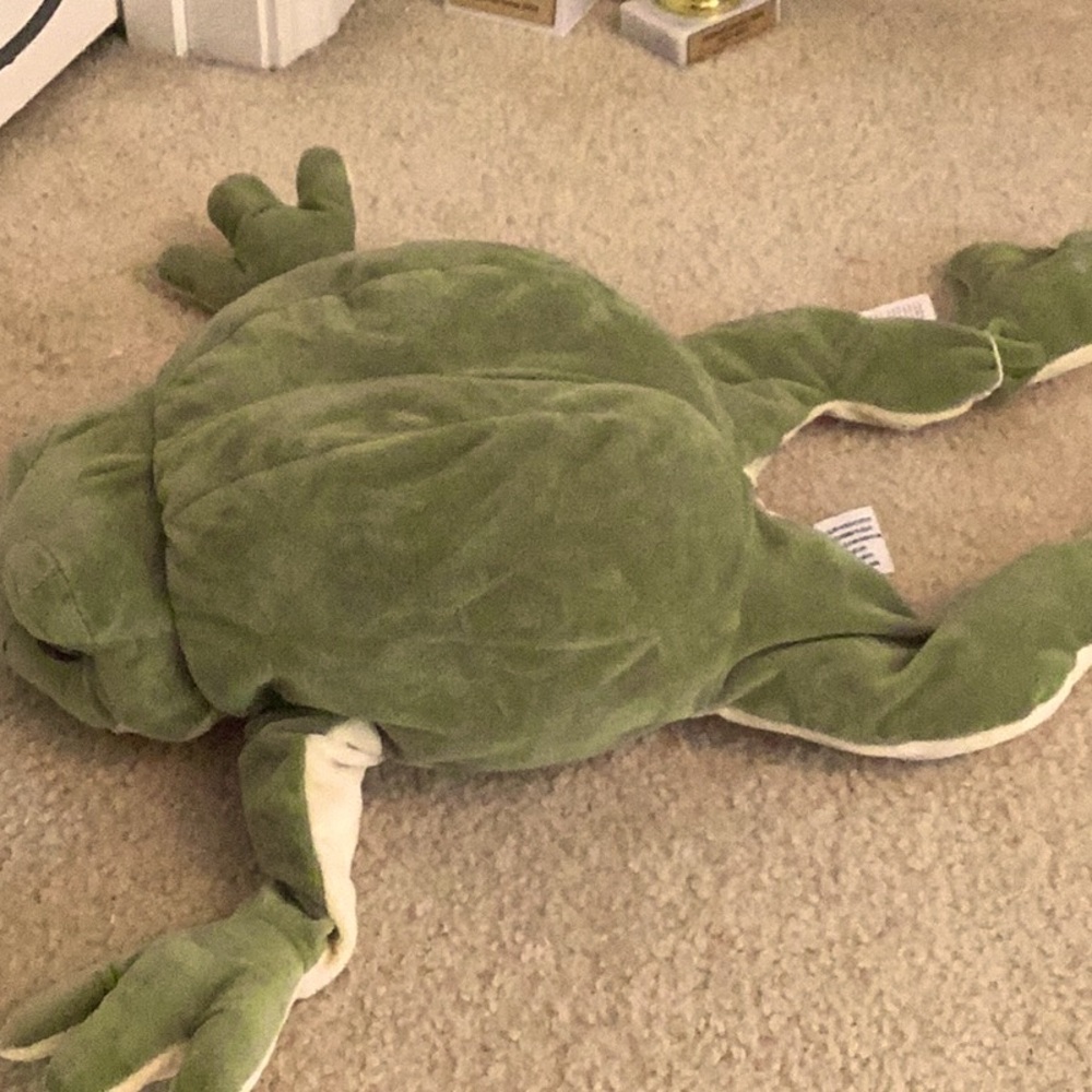 Frog Stuffed Animal, from Ice King Bear, Spread Love And Joy.